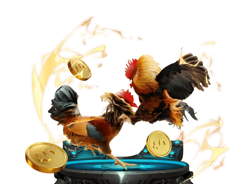 Hướng dẫn hello88 bet cho người mới bắt đầu